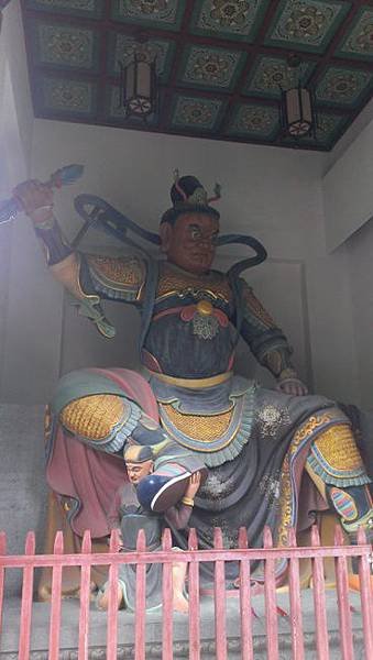 IMAG0469
