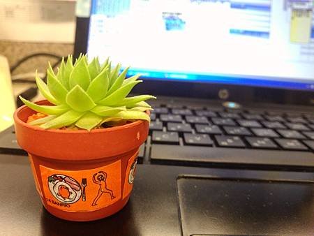 P_20141013_140856.jpg