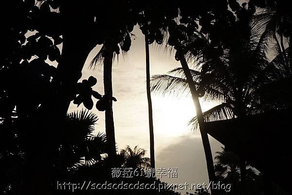 Photo泰國蘇美島_625.jpg