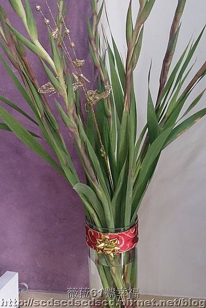 Photo新春花卉_005.jpg