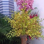sch09162439