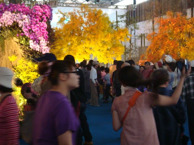 DSC05667