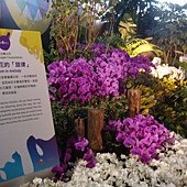 DSC05676