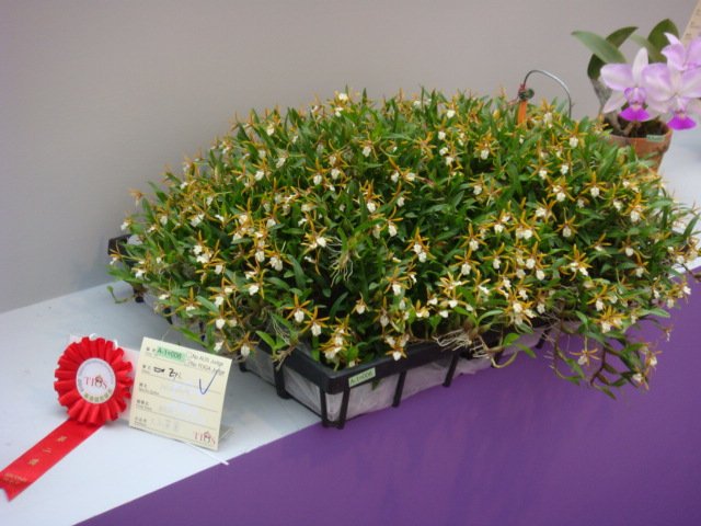 DSC05708
