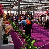 DSC05737