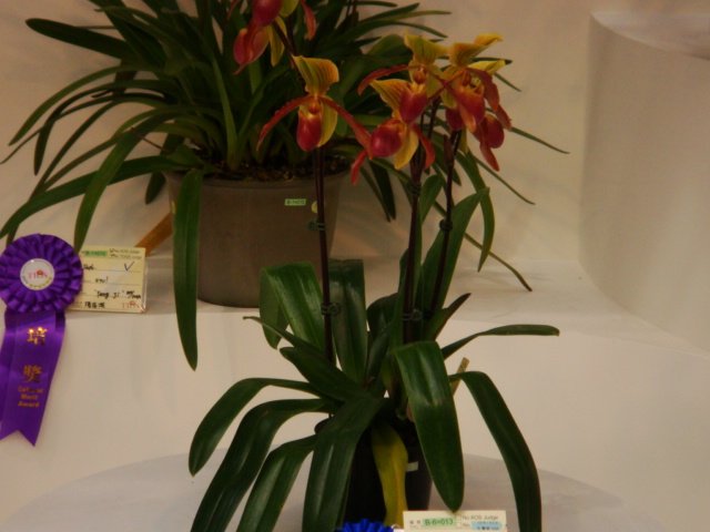DSC05760
