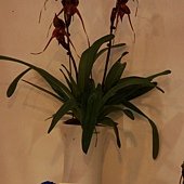 DSC05766