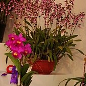 DSC05767
