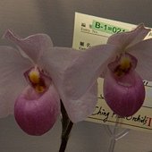 DSC05769