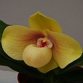 DSC05771