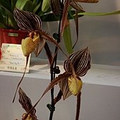 DSC05777