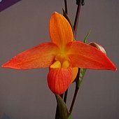 DSC05781