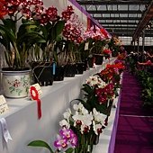 DSC05783