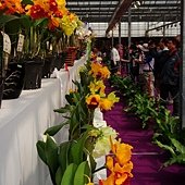DSC05785
