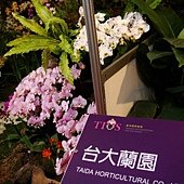 DSC05788