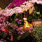 DSC05793