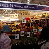 DSC05800