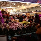 DSC05803