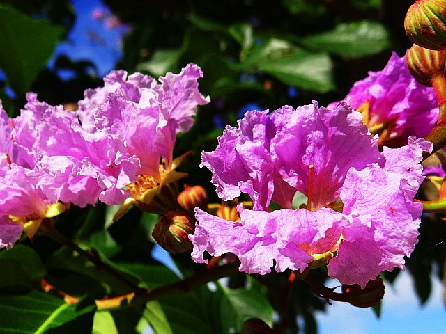 DSC01001