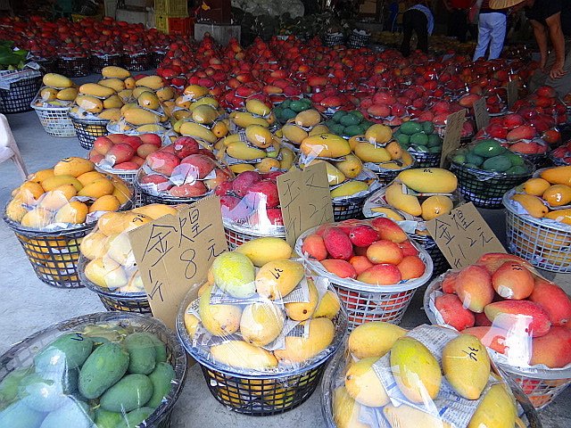 DSC01217.JPG