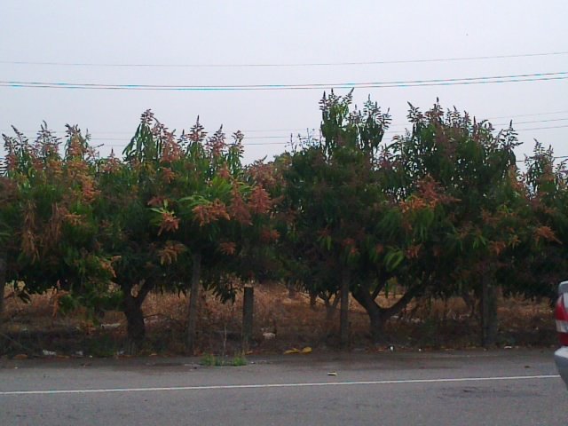 sch09160167.jpg