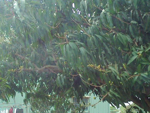 sch09160166.jpg