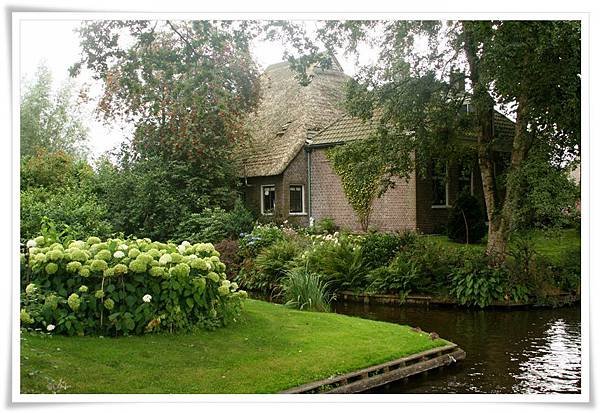 Hortensia_Giethoorn