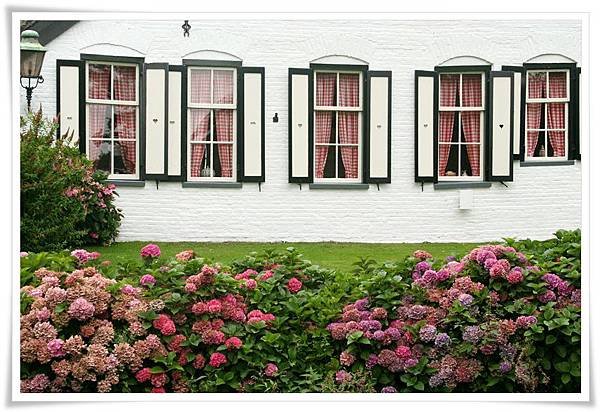 Hortensia_Giethoorn