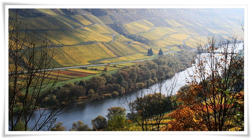 Mosel_2015