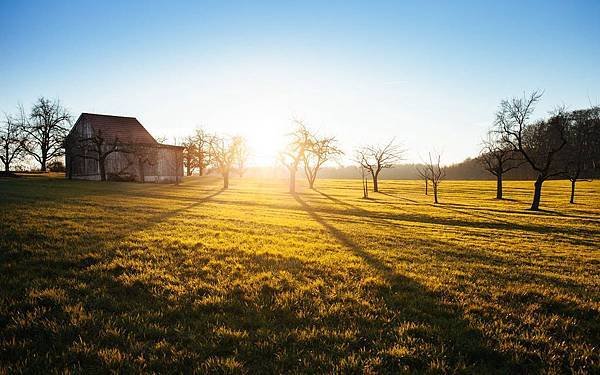 sky-sunset-field-trees.jpg