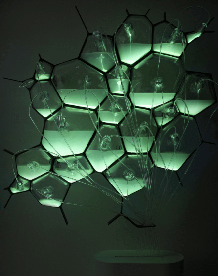 Philips Bio-light concept-02.png