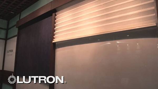 lutron_cedia2012_02.jpg