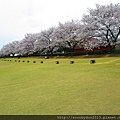 Toyama Kansui-Park (32).JPG
