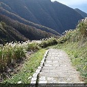 IMG_5276.JPG