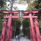 IMG_5287.JPG