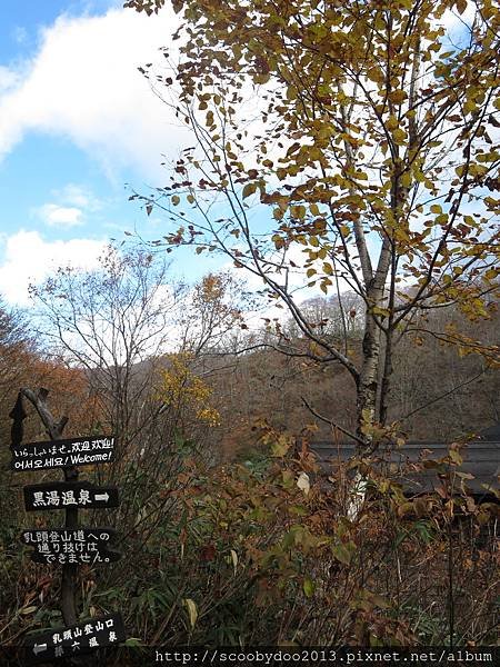 20151028 (7).JPG
