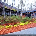 20151028 (180).JPG