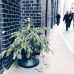 IMG_4829.jpeg