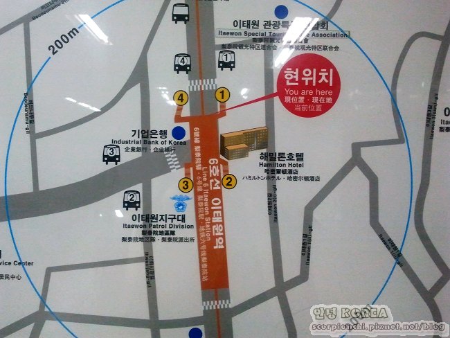 2011-06.jpg