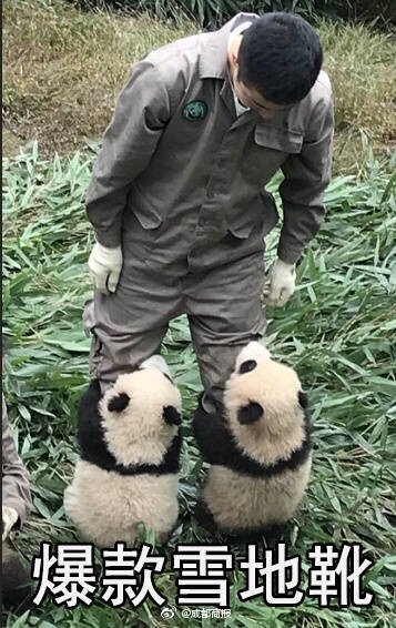 171013 謝奶爸