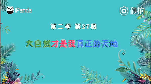 171225 ipanda-7 大自然才是我真正的天地