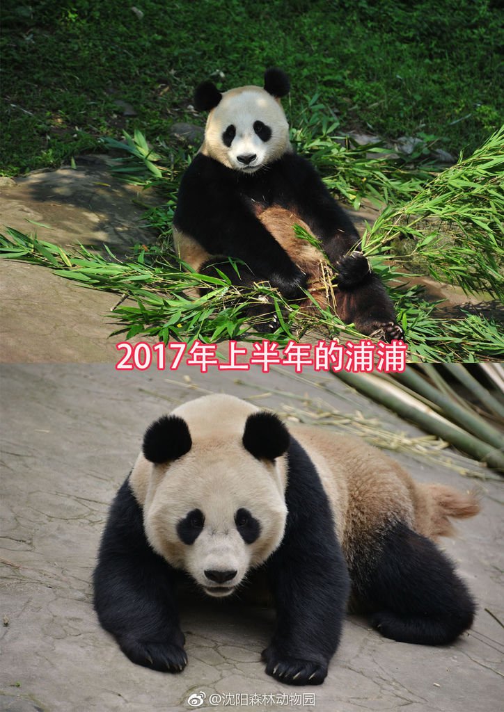 180424 沈陽森林動物園-1.jpg