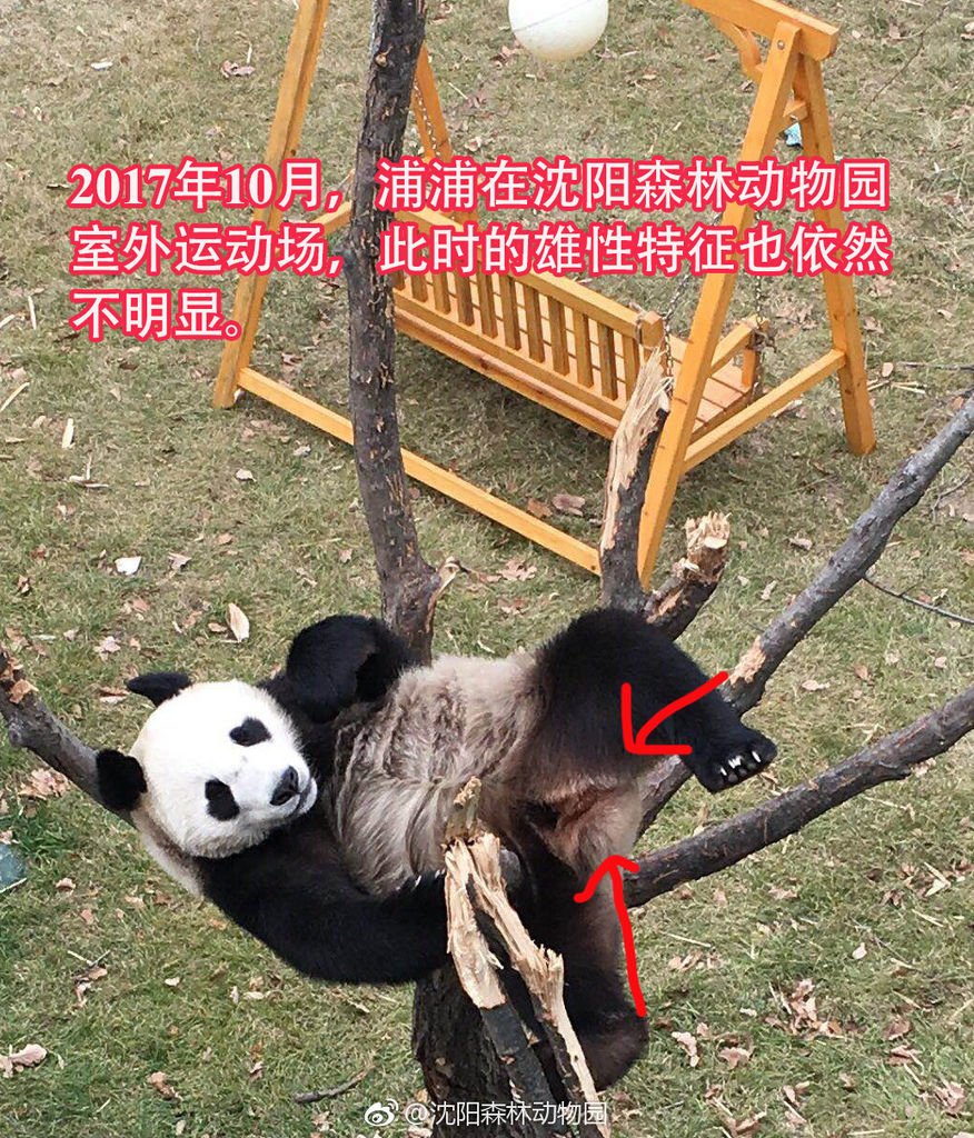 180424 沈陽森林動物園-3.jpg