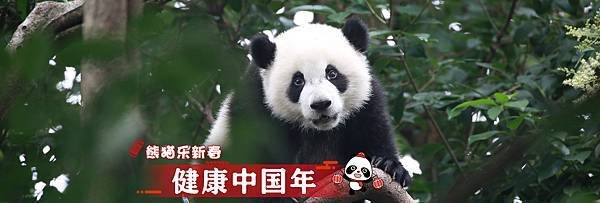 190201 ipanda-9 熊猫乐新春 健康中国年