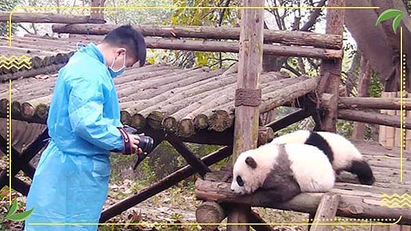 190426 ipanda-1 梳妝之後上鏡，沒想到狀況頻出