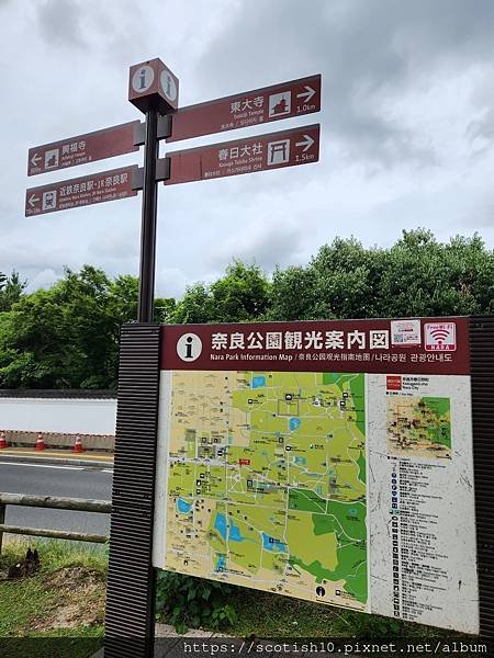 奈良梅花鹿公園 (11).jpg