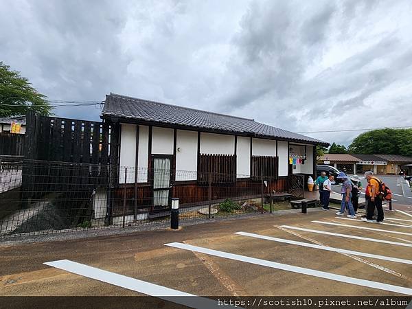 奈良梅花鹿公園 (28).jpg