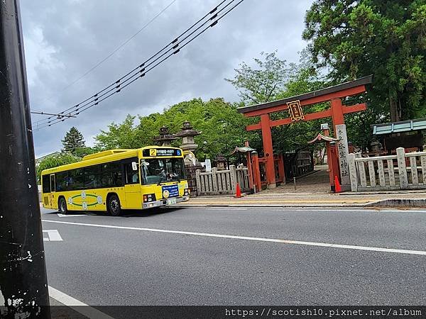 奈良梅花鹿公園 (34).jpg