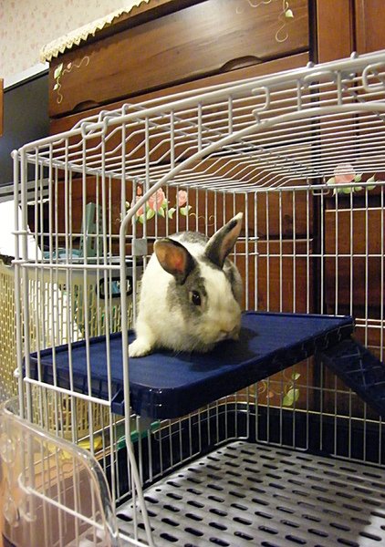 DSCF7809.JPG