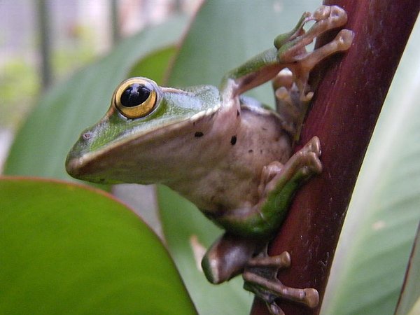 DSCF9001.JPG